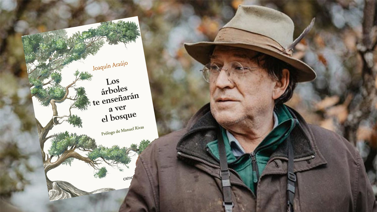 Hablamos con Joaquín Araujo autor del libro ‘Los árboles te enseñarán a ver el bosque’