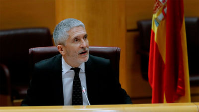 Marlaska dice que nadie de su Ministerio pidió a De los Cobos el informe del 8M