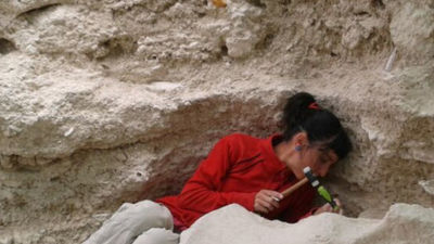 Tesoros paleontológicos de Madrid