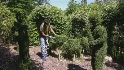 El Bosque Encantado espera a sus primeros visitantes tras reabrir en la sierra oeste