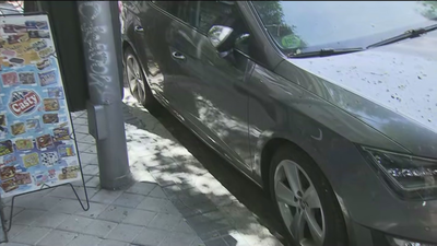 Una plaga de mosquitos en el barrio de  Valdezarza atemoriza  a los vecinos