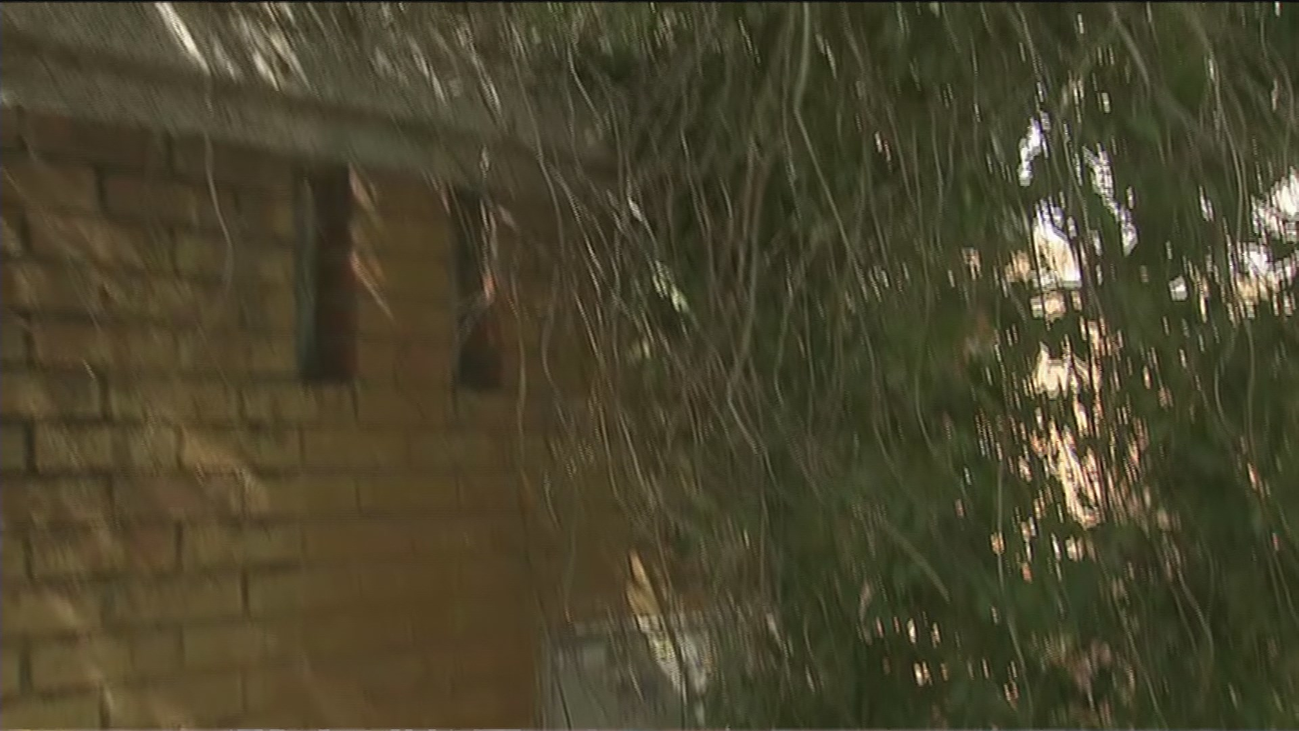 Una vecina de Moratalaz no se atreve a coger su silla de ruedas por miedo a que le caiga la rama de un árbol