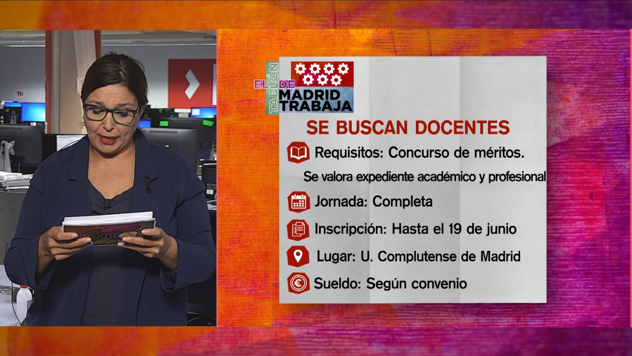 La Universidad Complutense  busca 50 docentes