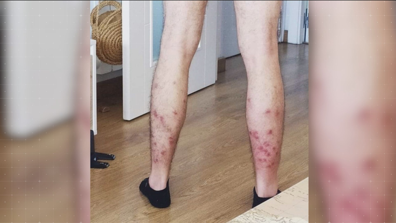 Vuelve la mosca negra a Perales del Río