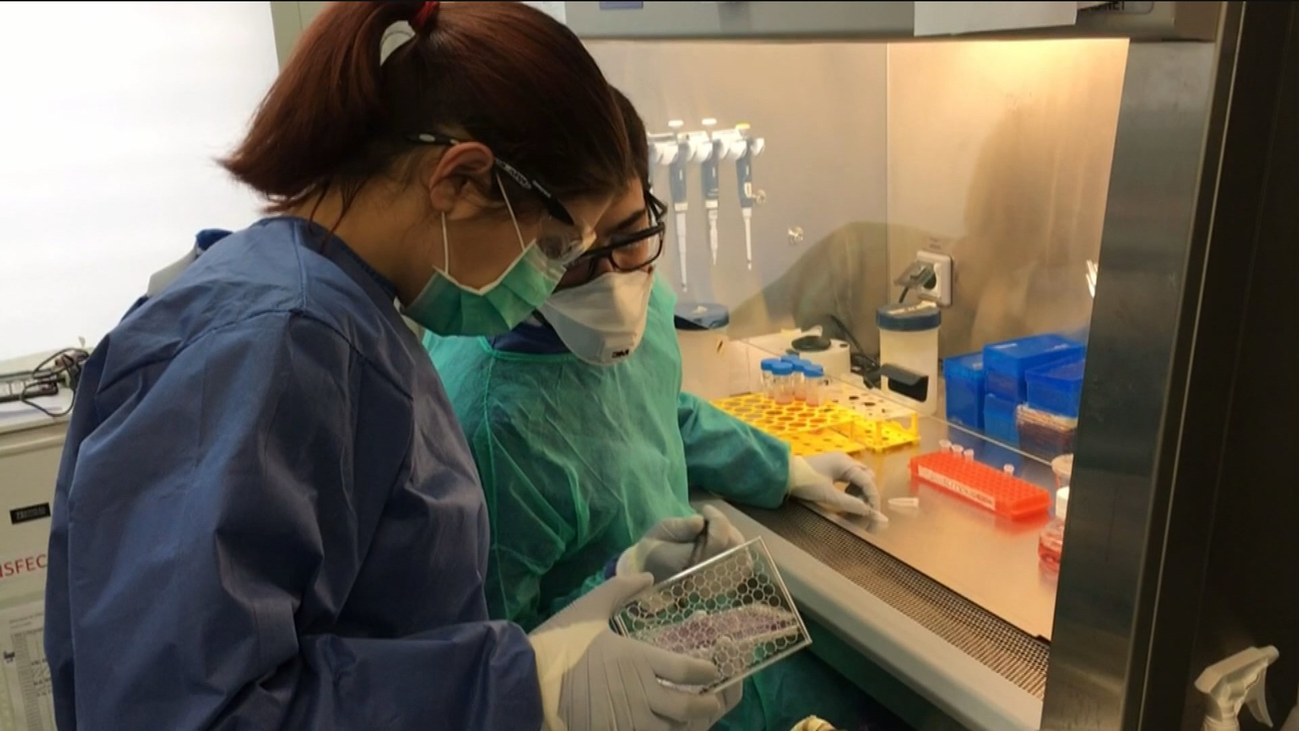 Los jóvenes españoles, los que más sufren el paro según Eurostat