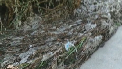 Vecinos de Coslada denuncian que el Jarama se ha convertido en la alcantarilla de Madrid