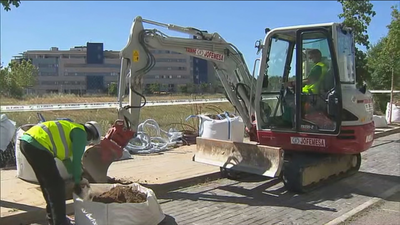 El ayuntamiento planta 2.300 árboles más para Madrid