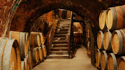 Un recorrido enoturístico por la Comunidad de Madrid