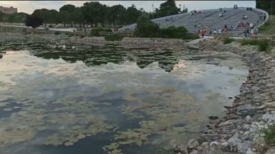 Deplorable estado del lago del parque de Las Cruces en Carabanchel por la invasión de algas