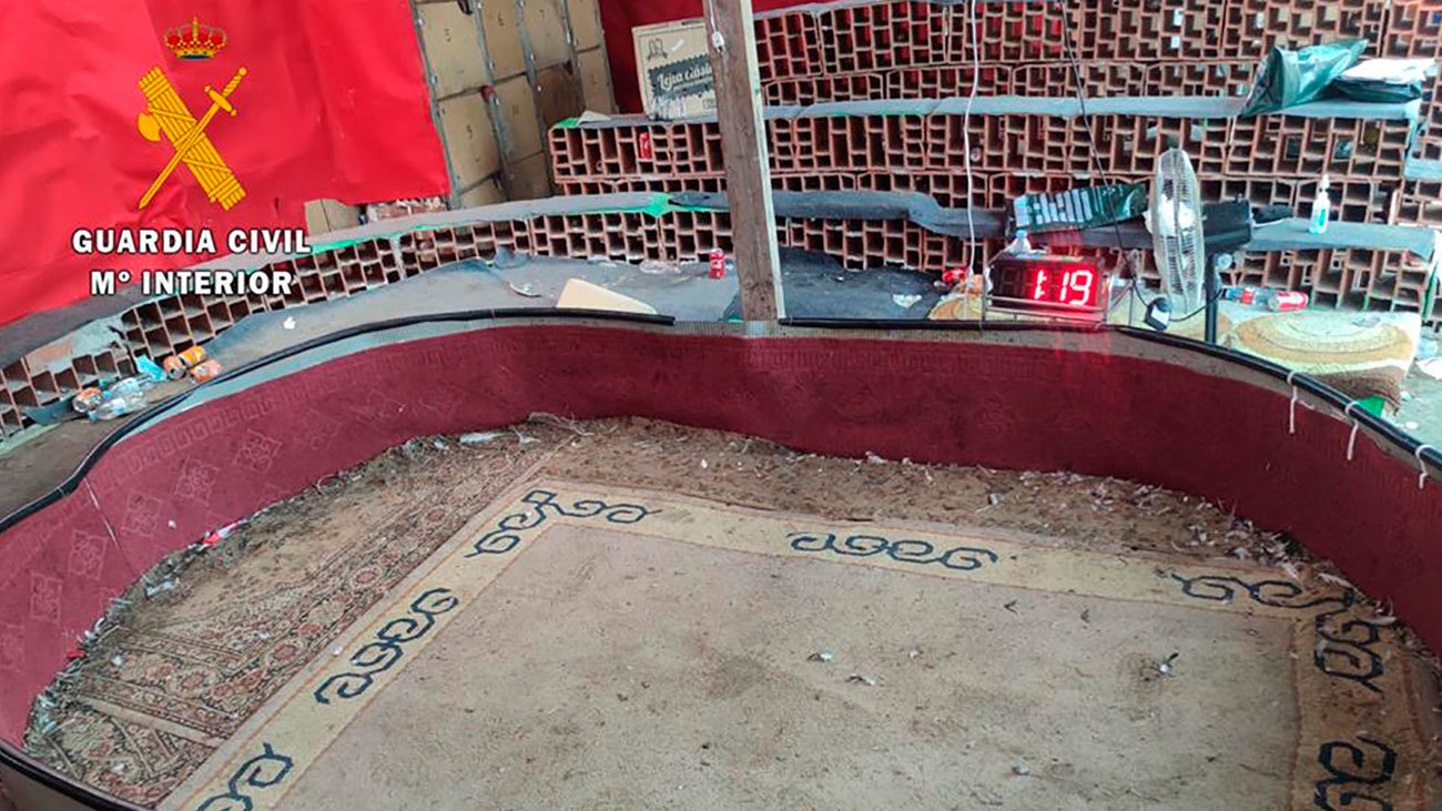 Imagen del recinto donde tenían lugar las peleas  de gallos