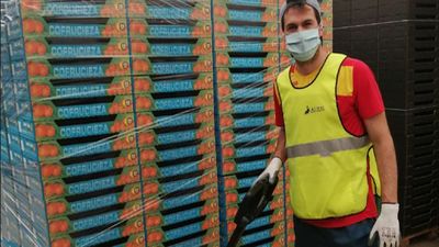 Benjamín Sánchez, atleta olímpico y trabajador en un almacén de fruta