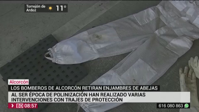 Así retiran un enjambre de abejas los bomberos de Alcorcón