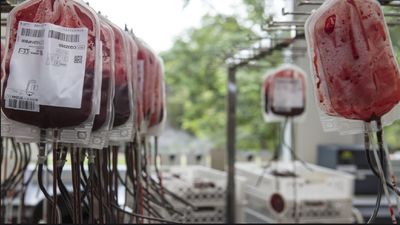 El Centro de Transfusión convoca la Semana de la Donación de Sangre desde este lunes