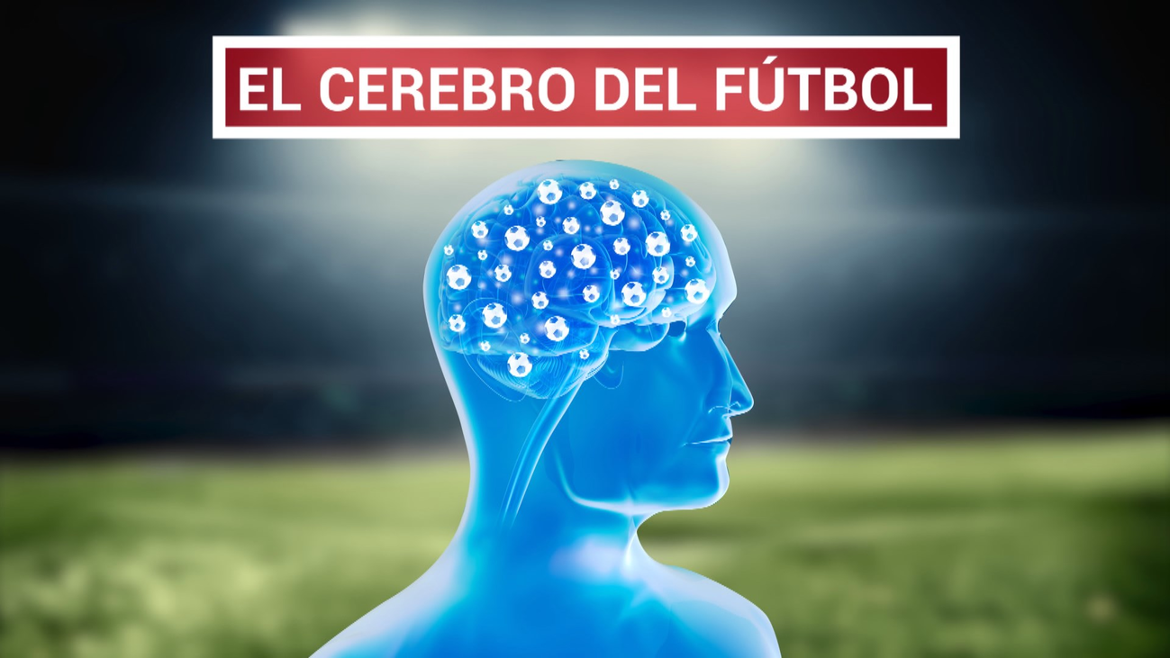 Los secretos de Dani 'Datos'