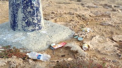 San Fernando de Henares acoge la primera recogida de 'basuraleza' en las orillas del Jarama