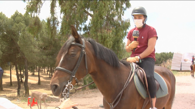 Vuelve la hípica tras el confinamiento
