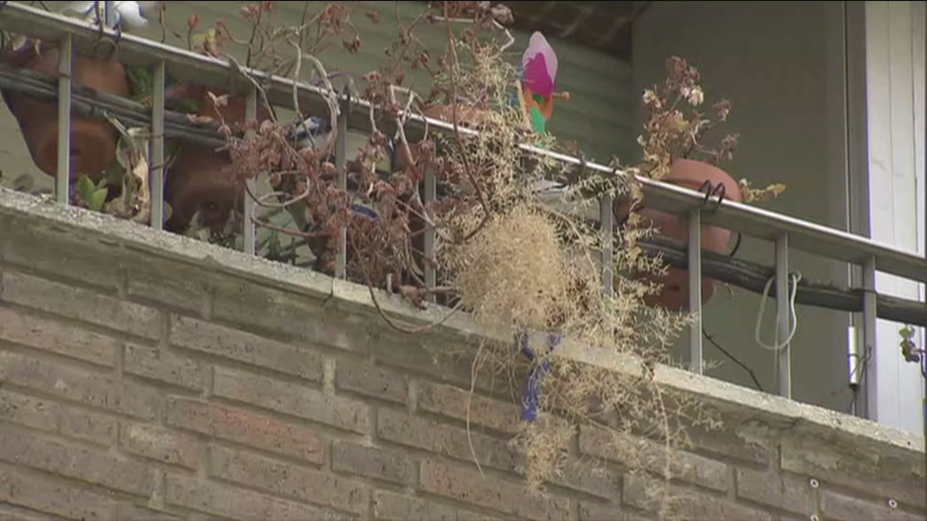 Las flores marchitas del balcón más triste de Madrid