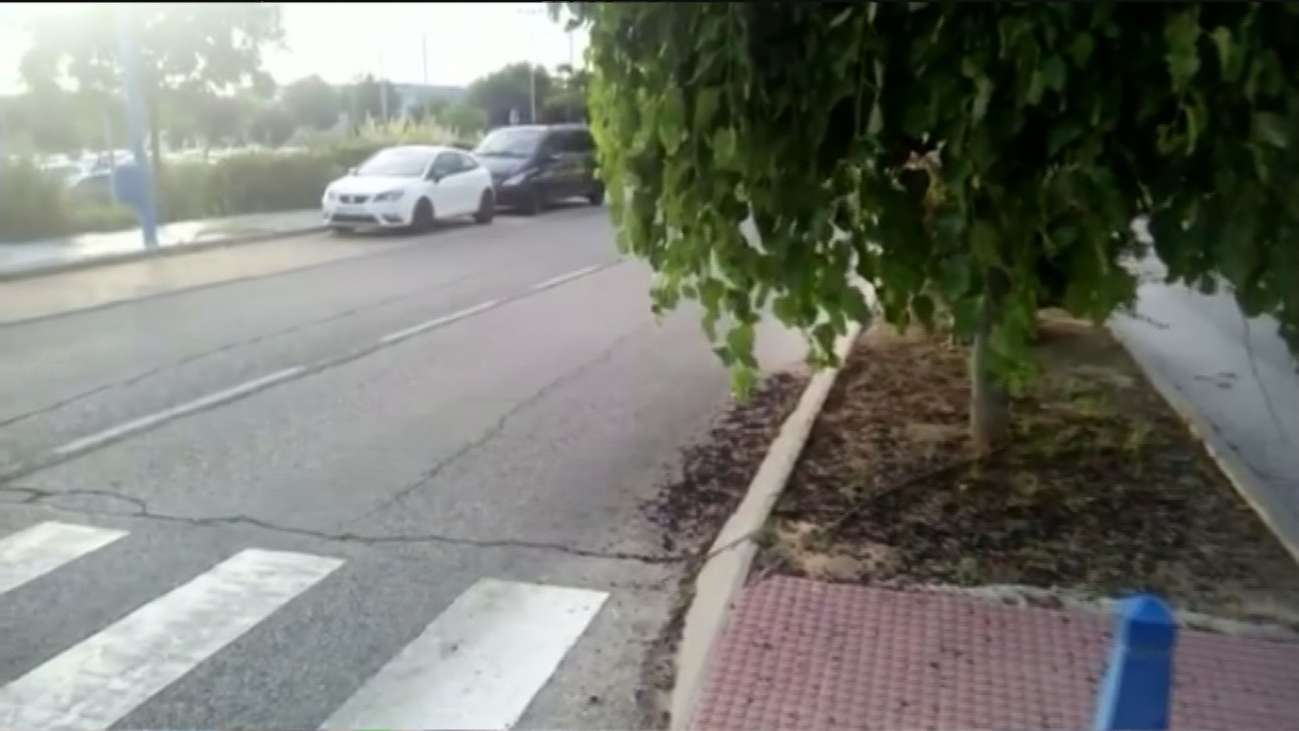 Paso de peatones peligroso en Rivas por culpa de árboles sin podar que impiden la visibilidad