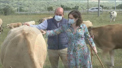 Lanzan una plataforma de comercio online para vender carne de la Sierra Norte