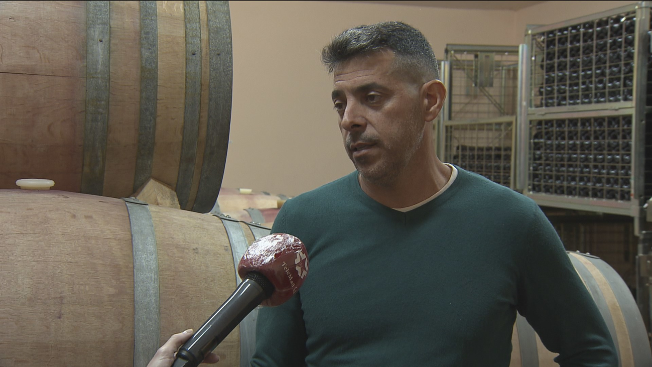 Las bodegas de San Martín de Valdeiglesias apuestan también por el enoturismo