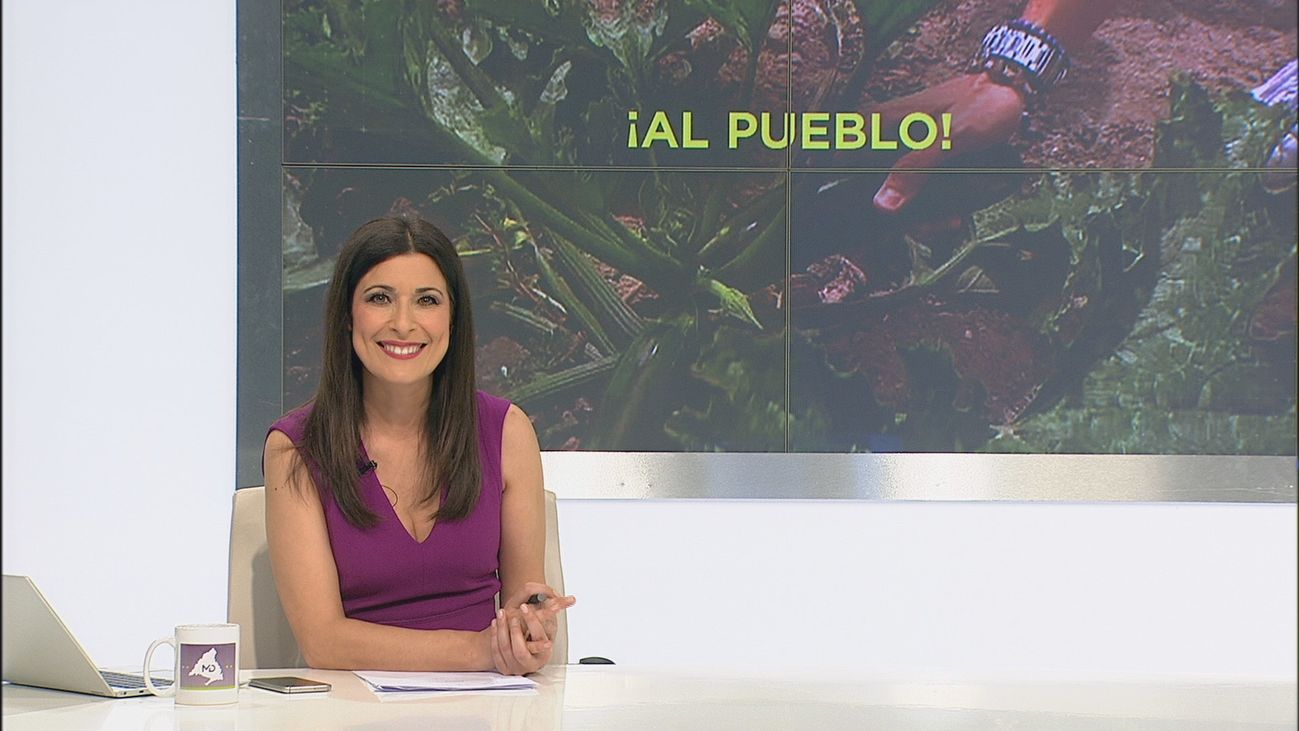 Madrid Directo 14.06.2020