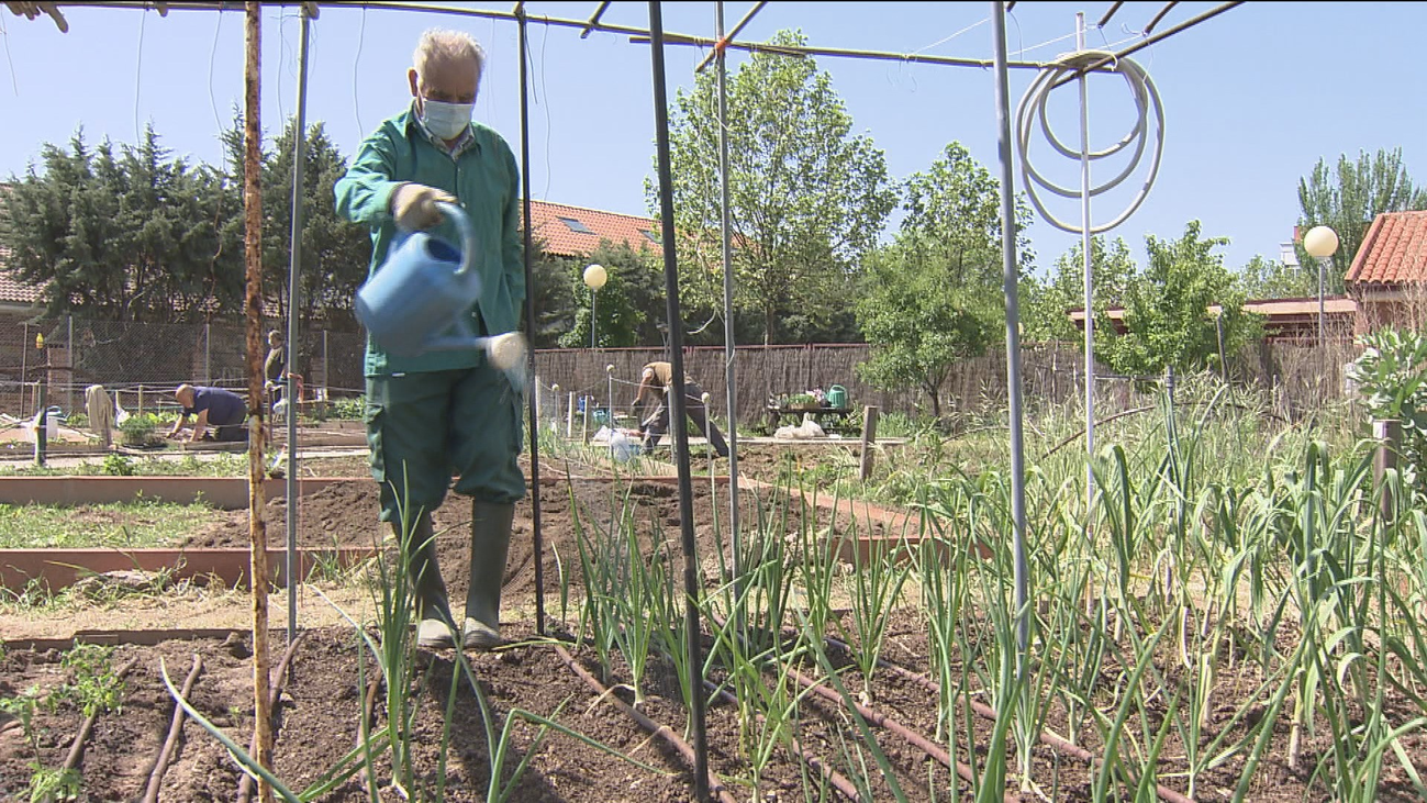 Reabren los huertos urbanos de Collado Villalba