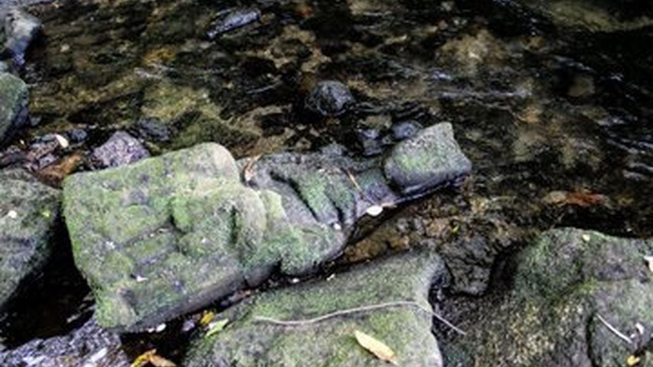 Fernando Brey Quintela, pescador: "Cuando llegué a casa diciendo que me había encontrado a la Virgen,se lo tomaron a guasa"