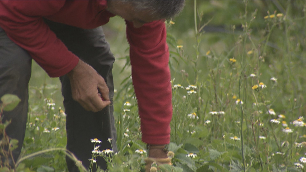 Más de 150 madrileños se forman azada en mano en la agricultura ecológica