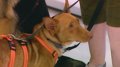 Está Pasando 22.06.2020