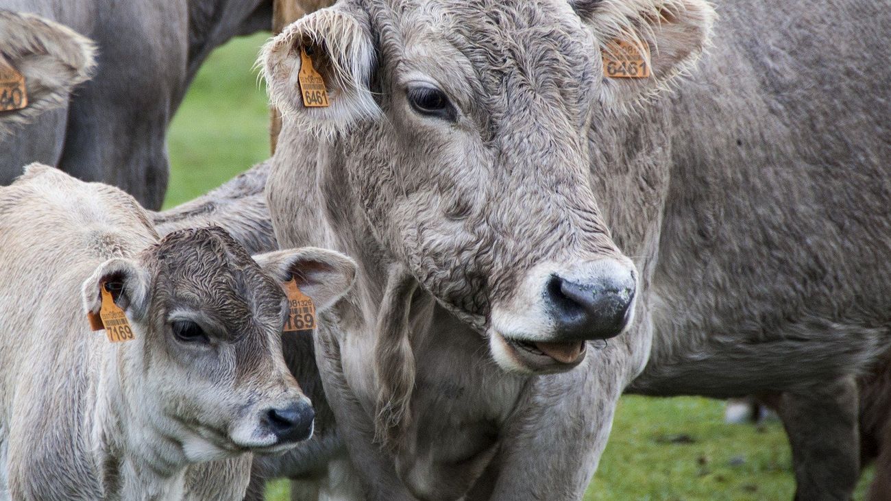 Mi cámara y yo: Este año, turismo rural