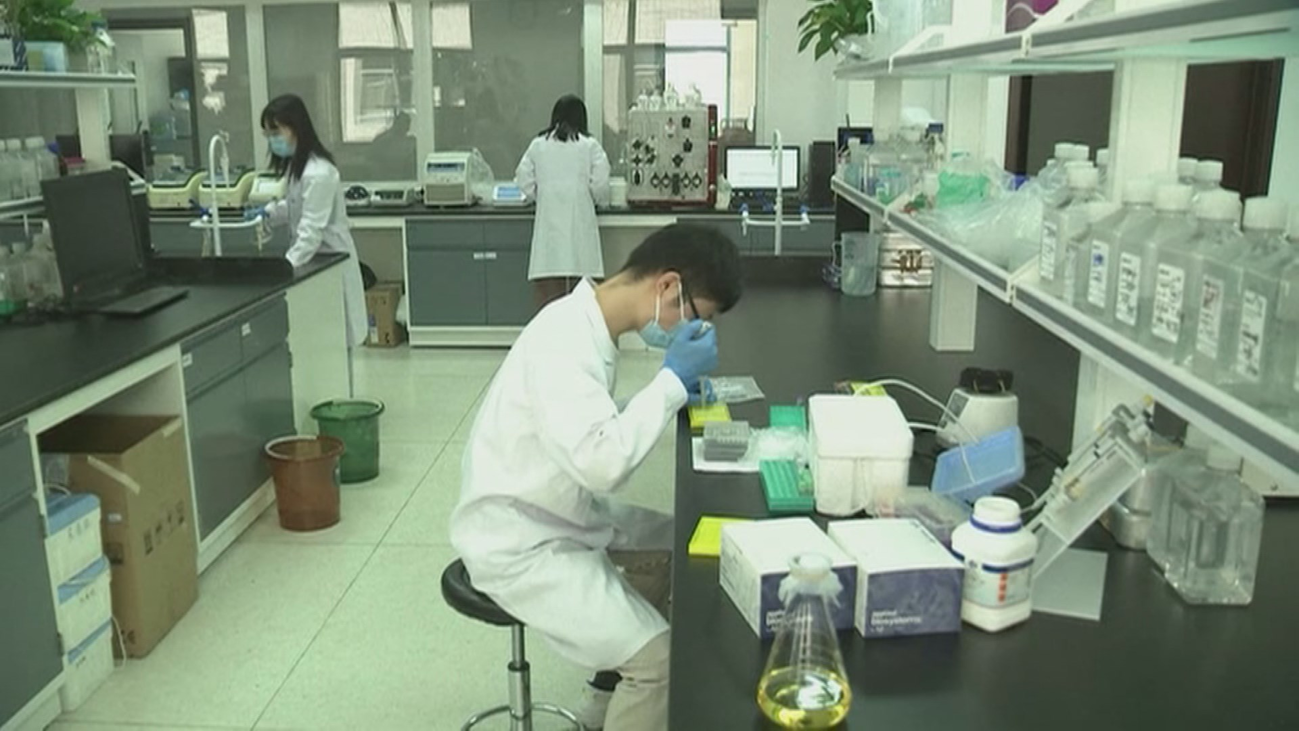 Científicos  advierten que la inmunidad por haber pasado  la Covid-19 no tendría efecto a largo plazo