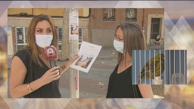 Recompensa de 3.000 euros para quien encuentre un jilguero perdido en el barrio de Tetuán