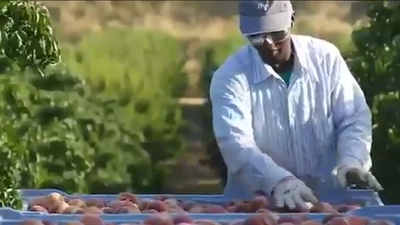 Los rebrotes en 12 comunidades se relacionan con la actuación irresponsable de los jóvenes