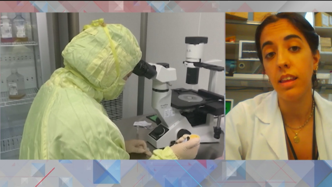 Los científicos españoles claman en las redes contra la 'fuga de cerebros'