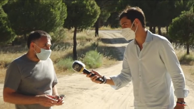 Denuncian la tala de 50.500 pinos, en San Martín de Valdeiglesias