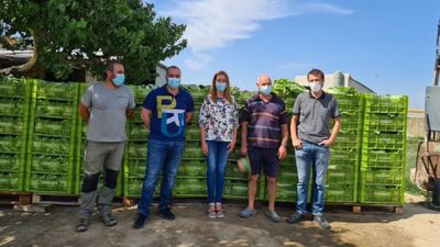 Fuenlabrada dona 60 toneladas de alimentos de sus huertas experimentales