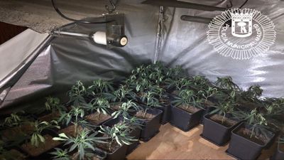 Intervenidas 165 plantas de marihuana en una vivienda de Usera tras declararse un incendio