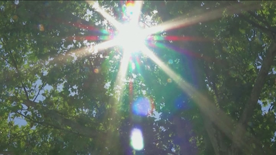 Hasta 28 provincias  estarán este martes en aviso por temperaturas de entre 33º y 40º