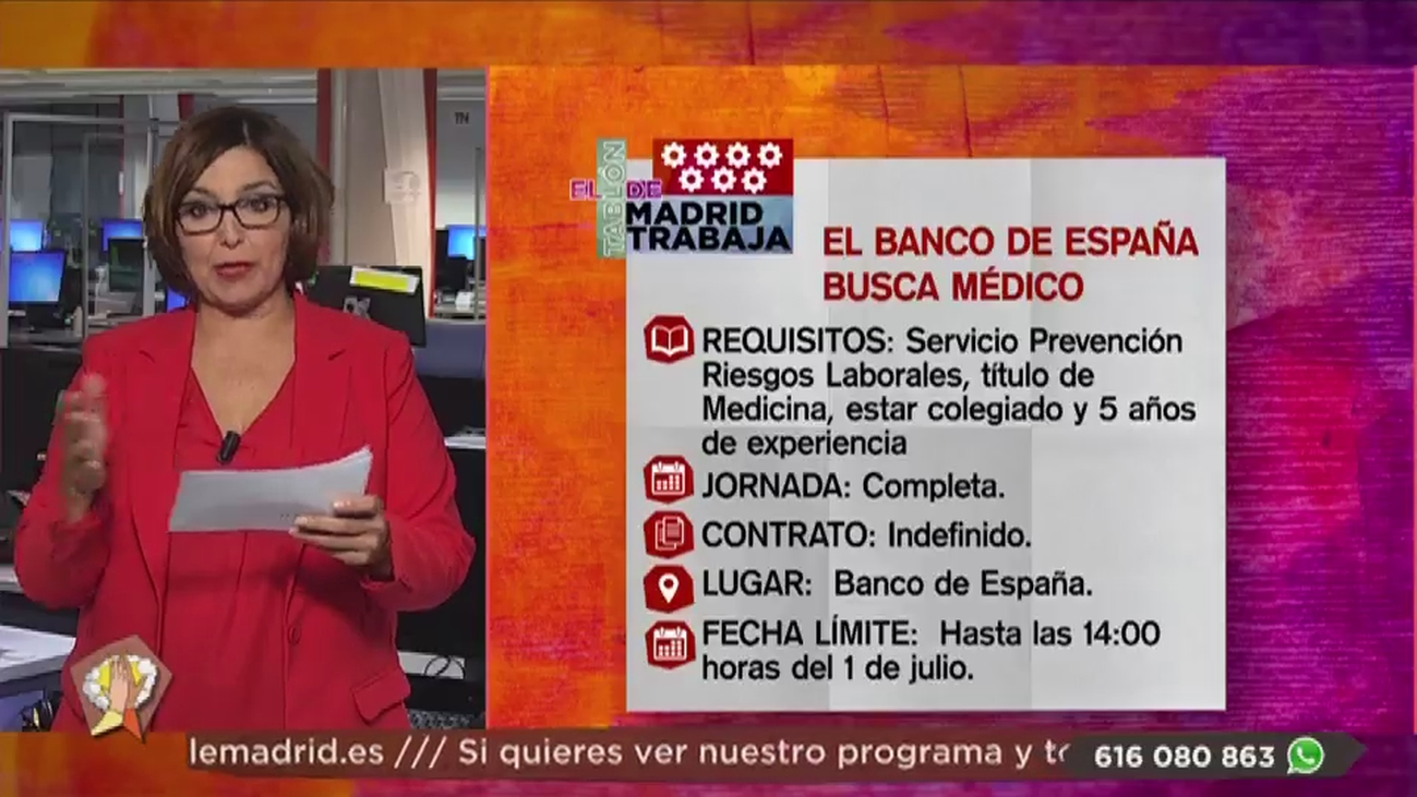 Se buscan 8 enfermeras para campamentos urbanos