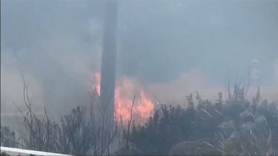 Un incendio en una zona de pasto en Vallecas genera una gran columna de humo en la A-3