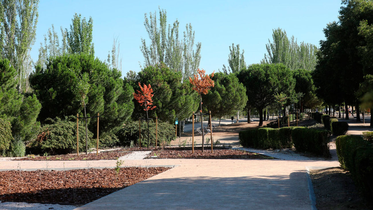 Las "ágoras" madrileñas contarán con pérgolas, mesas y conexión wifi