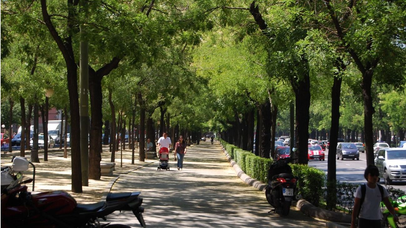 Los beneficios de los árboles urbanos