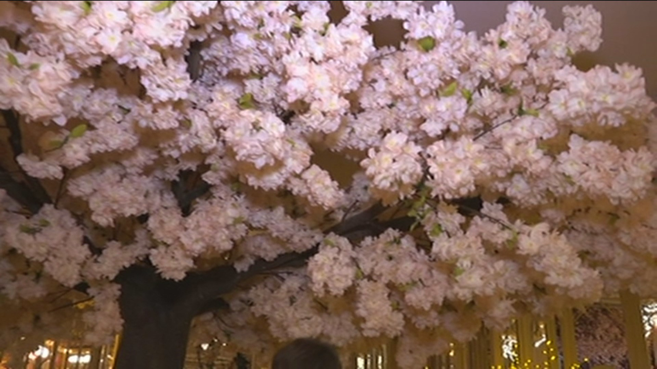 Abre el restaurante más florido de Madrid