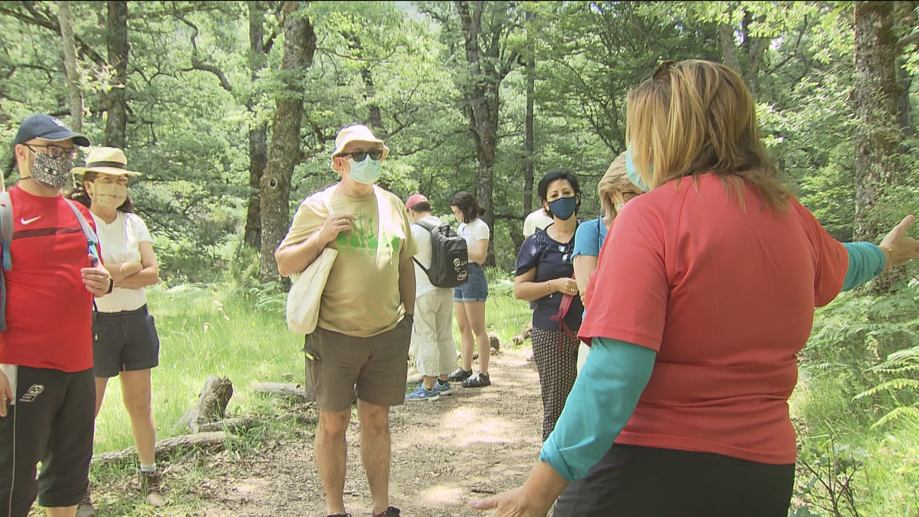 Reabre el Hayedo de Montejo con visitas guiadas y en grupos más reducidos