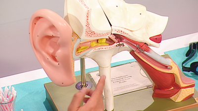 Consejos para prevenir la otitis y la conjuntivitis en verano