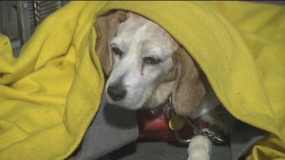 Buenos Días Madrid 08.07.2020 (10.00 - 11.00)