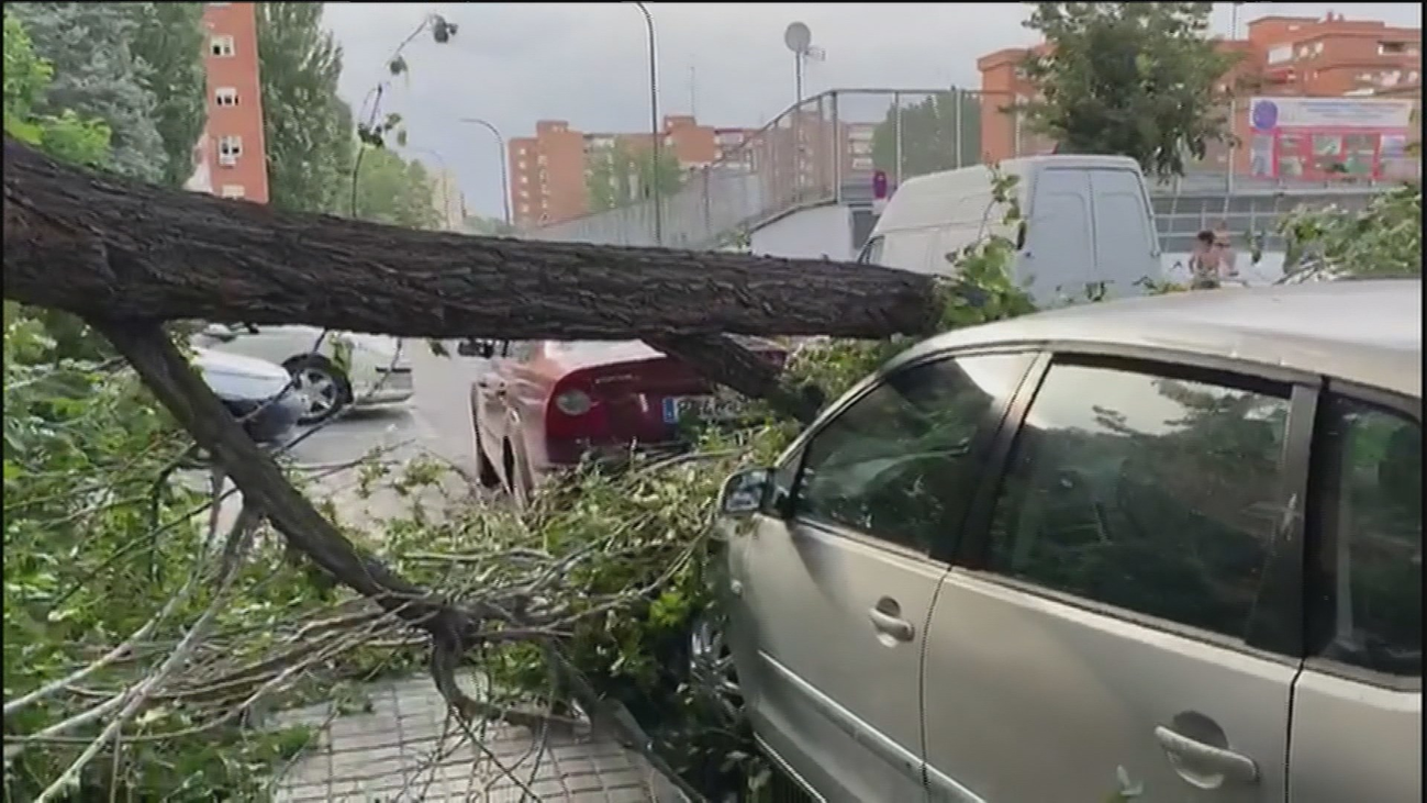 El fuerte viento en Madrid provoca caídas de árboles que sólo causaron daños materiales