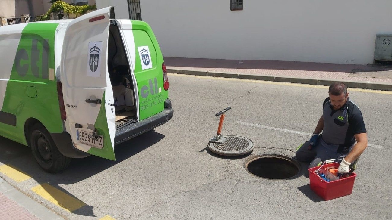 Control de cucarachas y roedores en Valdemoro