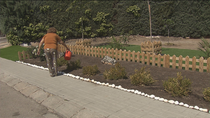 Los vecinos de cuatro viviendas de Parque Coimbra levantan un hermoso jardín donde antes hubo maleza