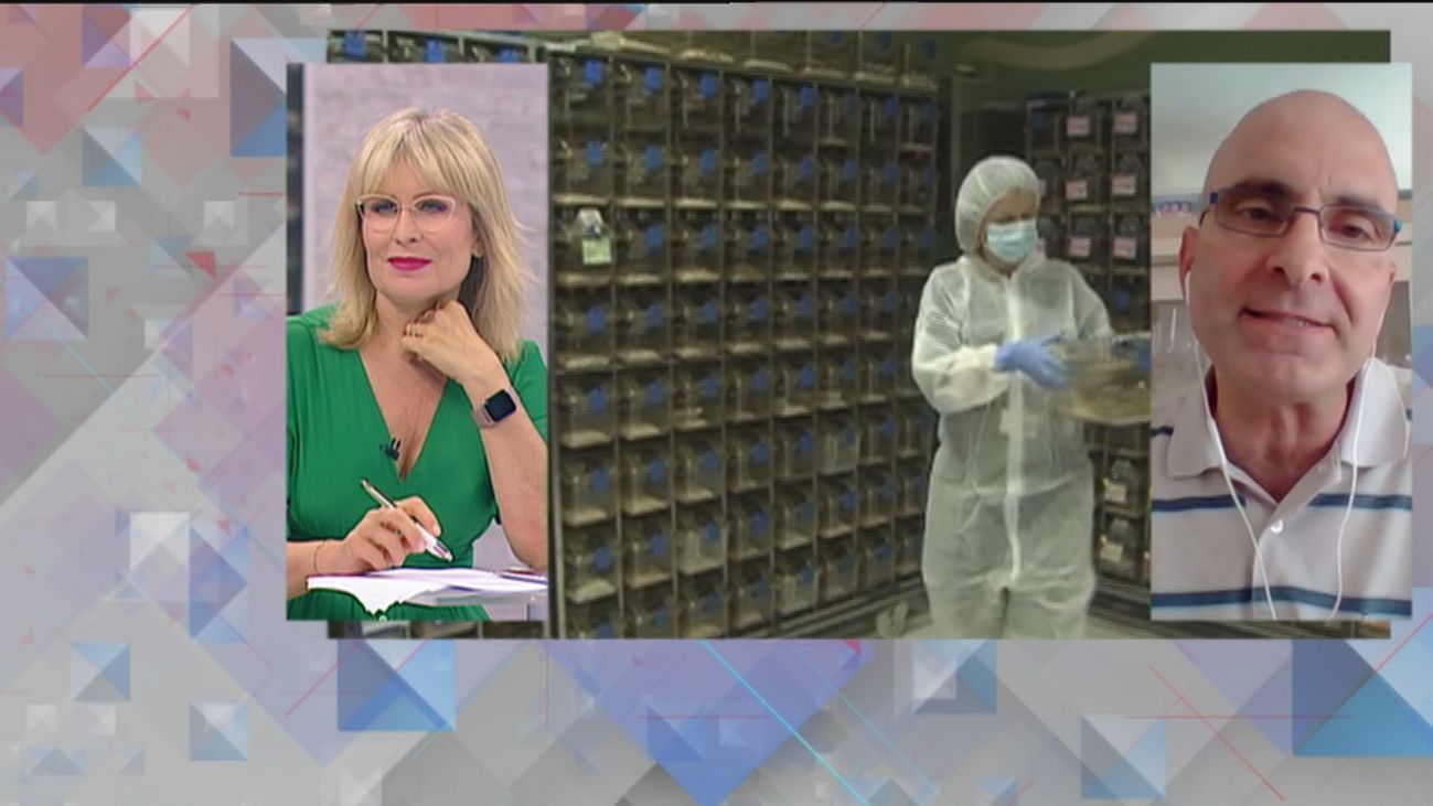 120 minutos 13.07.2020 (parte 2 )